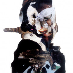 ARISTOCRATA Y MELANOMA. Collage y mixta sobre papel. 2015