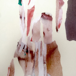 CARNE JOVEN. Collage sobre papel. 2015