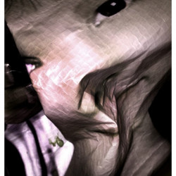 COIL. FotografIa. 25x40 cm (aprox)