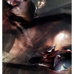 CRECER ES COMPLICADO. FotografIa. 25x40 cm (aprox)