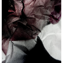 DE PRONTO LA OSCURIDAD. FotografIa. 25x40 cm (aprox)