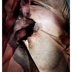 DEFEATED. FotografIa. 25x40 cm (aprox)