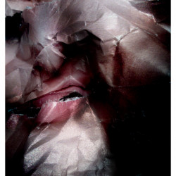 DEFECANDO SANGRE. FotografIa. 25x40 cm (aprox)