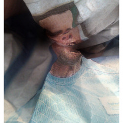 DINASTY. FotografIa. 25x40 cm (aprox)