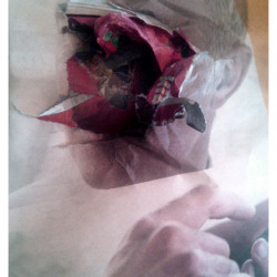 DOTTORE DELLA PESTE. FotografIa. 25x40 cm (aprox)