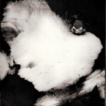 EL HOMBRE QUE RÍE. Monotipo. 20x25 cm