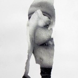 ELEPHANTROPHIA. Collage y mixta sobre papel. 2012