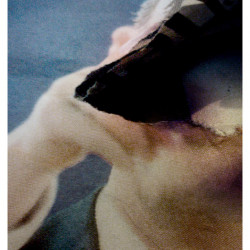 EXPRESS II. FotografIa. 25x40 cm (aprox)