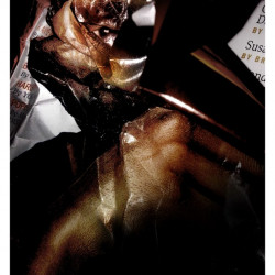 GHETTO CHIHUAHUA. Fotografía