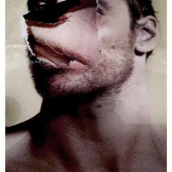 HAMSTER 2.0. FotografIa. 25x40 cm (aprox)