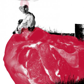 ILUST. PRESENCIA HUMANA 5 : Texto propio