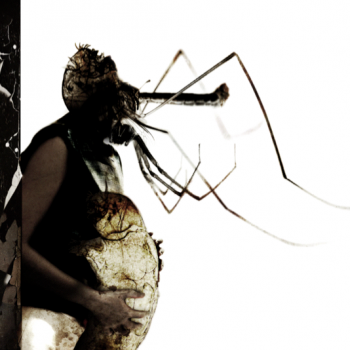 INSECTOS 002. Collage digital sobre papel. 2012.