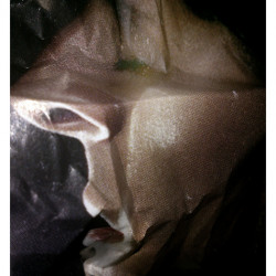 JINETE. FotografIa. 25x40 cm (aprox)