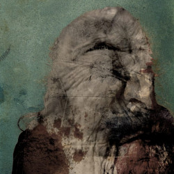 LA VEJEZ ES LA AUTOCRITICA DE LA NATURALEZA. Collage digital 2011