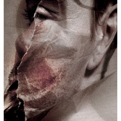 ONE SAD LOTUS. FotografIa. 25x40 cm (aprox)