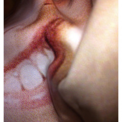 RATA. FotografIa. 25x40 cm (aprox)