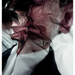 TEXAS GRAMPA. FotografIa. 25x40 cm (aprox)