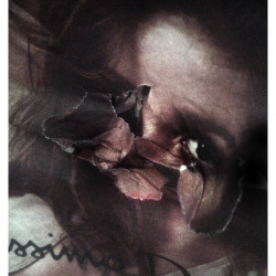 TRAVIESA. FotografIa. 25x40 cm (aprox)