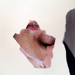 TRVE CATALONIAN HUMOUNCULOUS. Collage sobre papel. 2015