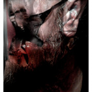 FAUNO DE CARITA PARTIDA. Fotografía. 2016.