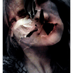 PARIENDO A ROD STEWART POR UN OJO (PRAISE THE LORD). Fotografía. 2016.