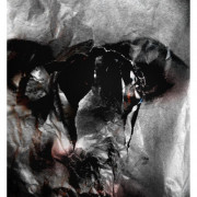 BASIC PLEASURE MODEL. Fotografía. 2016.jpg