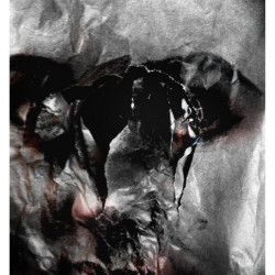 BASIC PLEASURE MODEL. Fotografía. 2016.jpg