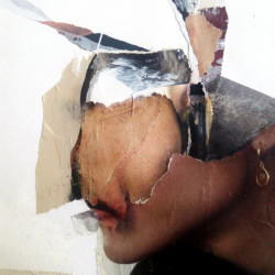 RITUAL DE APAREAMIENTO ESTÁNDAR (Detalle II). Collage y mixta sobre papel, 2017.