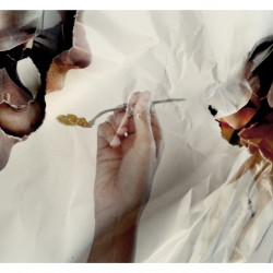 EL MILAGRO DE LA REPRODUCCIÓN HUMANA (Img_01: Inserción). Fotografía. 2017.