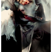 CORDYCEPS. Fotografía. 2017.