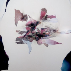 EL NATURAL DESCONCIERTO. Collage y mixta sobre papel. 50x70cm. 2018.