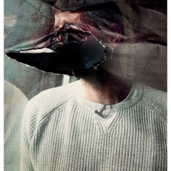 MOCKINGBIRD INPASS 01 (Black Phase). Fotografía. 2018.