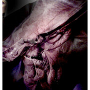 IMSERSO MOBSTER. Fotografía. 2018.