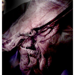 IMSERSO MOBSTER. Fotografía. 2018.