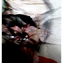 EL ORUJO Y LA FURIA. Fotografía. 2018