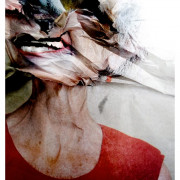 SPOILED CHIHUAHUA. Fotografía. 2018