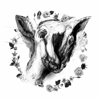 4-chan ilustración interior