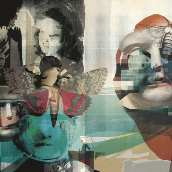 Polipiel - Ilustración Interior